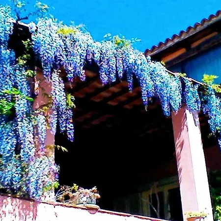 The Secret Garden - Casa Di Elena Apartment Maratea