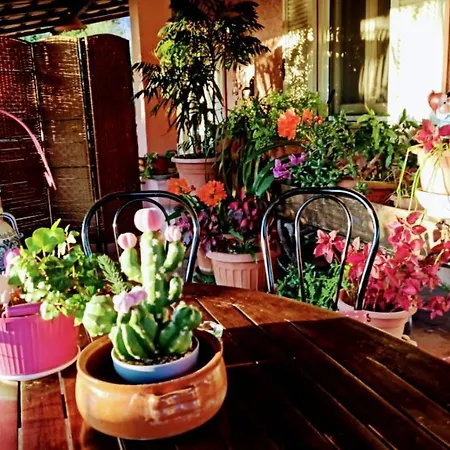 The Secret Garden - Casa Di Elena