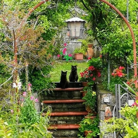 The Secret Garden - Casa Di Elena Maratea