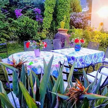 The Secret Garden - Casa Di Elena Maratea