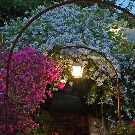 The Secret Garden - Casa Di Elena Apartment