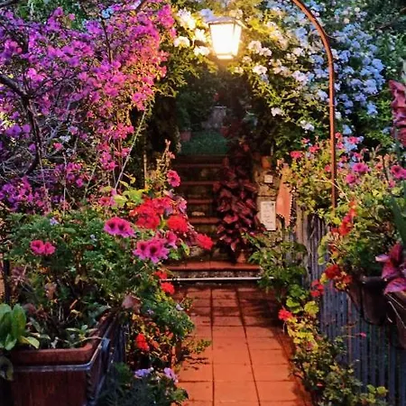 The Secret Garden - Casa Di Elena Apartment