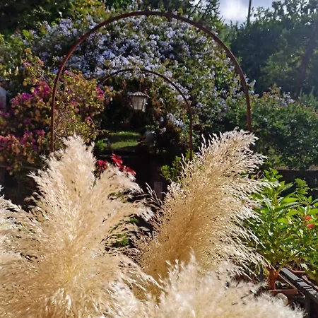 The Secret Garden - Casa Di Elena