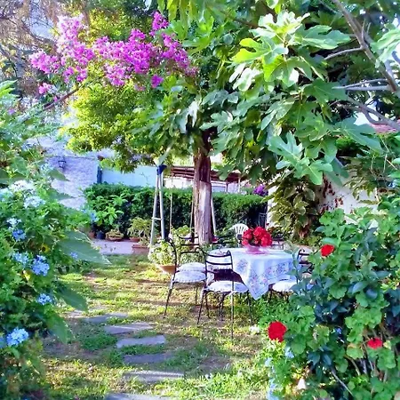The Secret Garden - Casa Di Elena Maratea