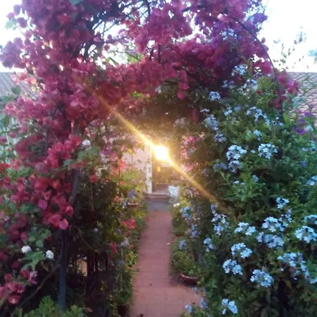 The Secret Garden - Casa Di Elena Apartment *