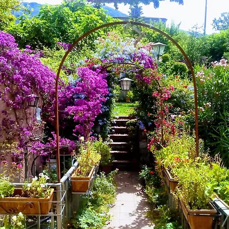 The Secret Garden - Casa Di Elena *