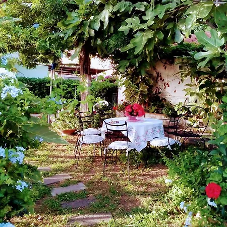 The Secret Garden - Casa Di Elena Maratea