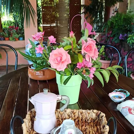 The Secret Garden - Casa Di Elena Apartment