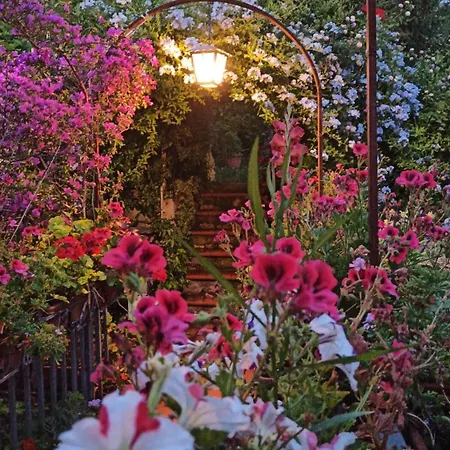 The Secret Garden - Casa Di Elena Apartment