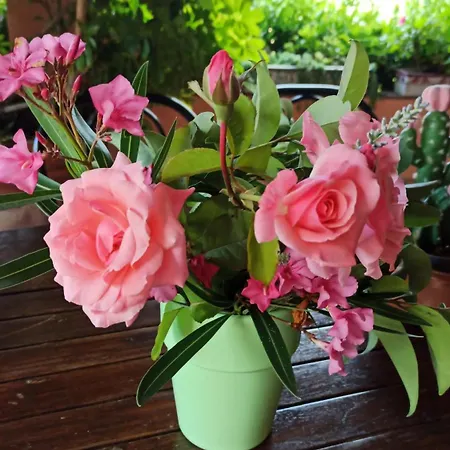The Secret Garden - Casa Di Elena *