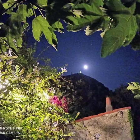 The Secret Garden - Casa Di Elena *