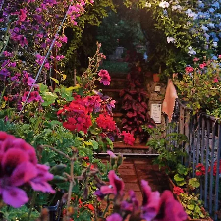 The Secret Garden - Casa Di Elena Apartment *