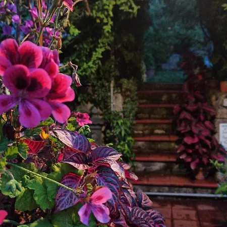 Apartment The Secret Garden - Casa Di Elena Maratea