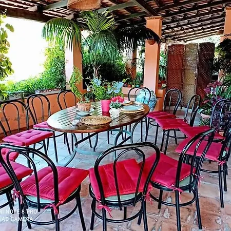 The Secret Garden - Casa Di Elena Maratea
