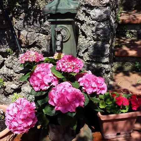 Appartamento The Secret Garden - Casa Di Elena