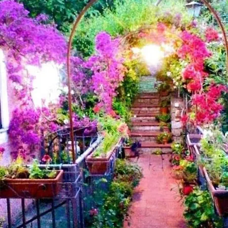 The Secret Garden - Casa Di Elena Lejlighed Maratea