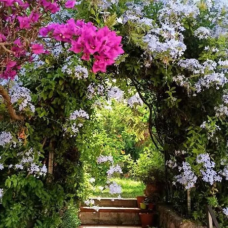 The Secret Garden - Casa Di Elena Lejlighed Maratea