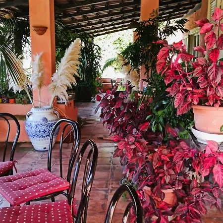 Lejlighed The Secret Garden - Casa Di Elena