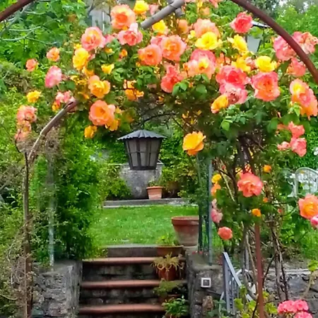 Appartamento The Secret Garden - Casa Di Elena