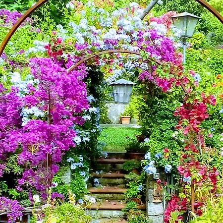 Lejlighed The Secret Garden - Casa Di Elena Maratea