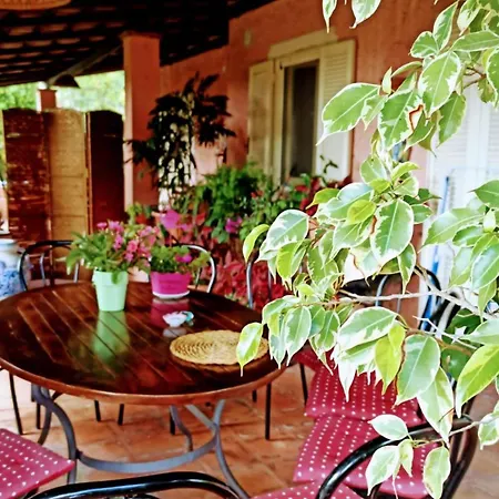 The Secret Garden - Casa Di Elena Lejlighed Maratea