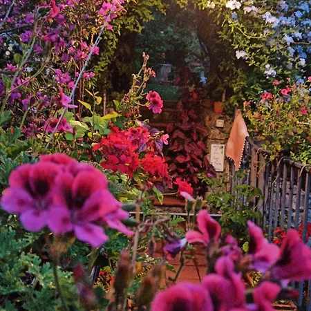 Appartamento The Secret Garden - Casa Di Elena *